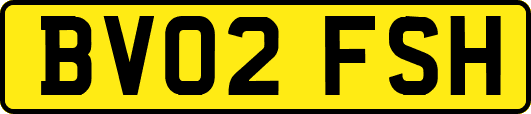BV02FSH