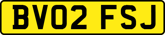 BV02FSJ
