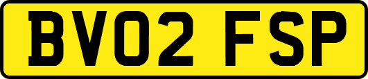 BV02FSP