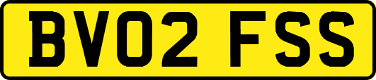 BV02FSS