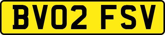 BV02FSV