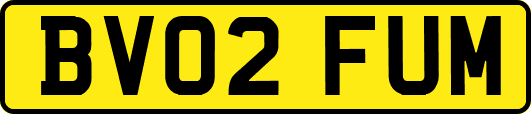 BV02FUM