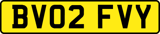 BV02FVY