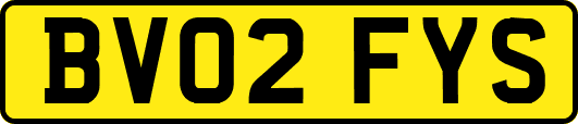 BV02FYS