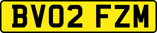 BV02FZM