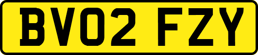 BV02FZY