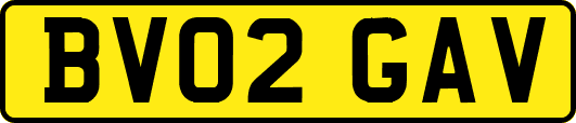 BV02GAV