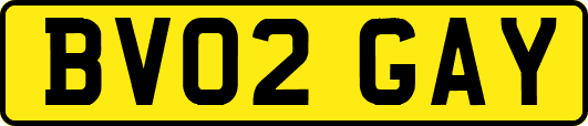 BV02GAY