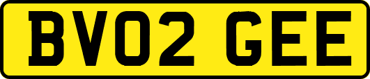 BV02GEE