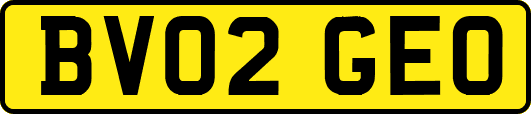 BV02GEO