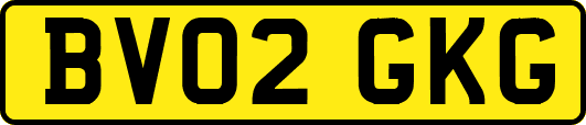 BV02GKG