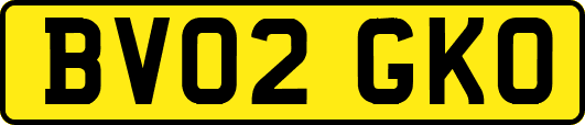 BV02GKO