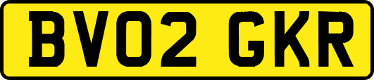 BV02GKR