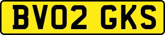 BV02GKS