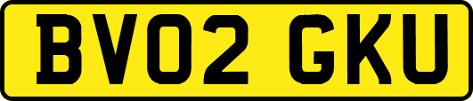 BV02GKU