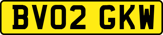BV02GKW