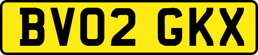 BV02GKX