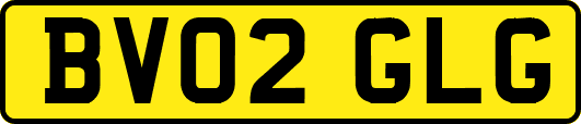BV02GLG
