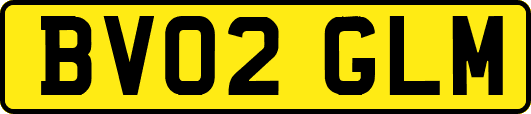 BV02GLM