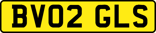 BV02GLS
