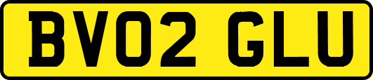 BV02GLU