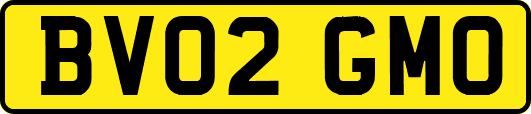 BV02GMO