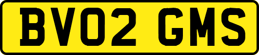 BV02GMS