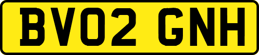 BV02GNH