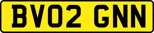 BV02GNN