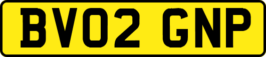 BV02GNP