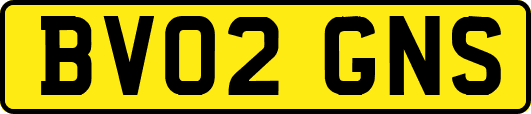 BV02GNS