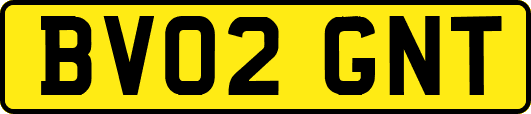 BV02GNT