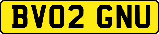 BV02GNU