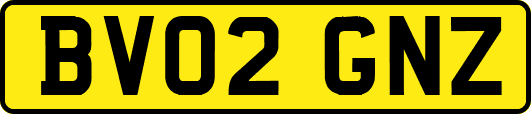 BV02GNZ