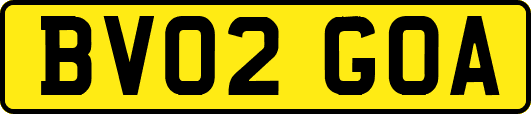 BV02GOA