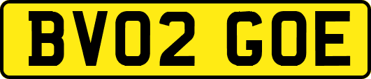 BV02GOE