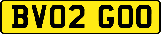 BV02GOO