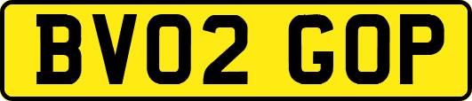 BV02GOP