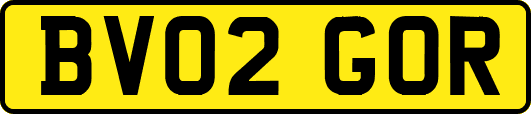 BV02GOR