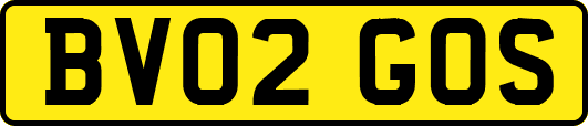 BV02GOS