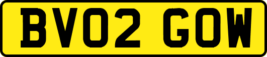 BV02GOW