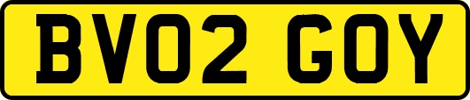 BV02GOY