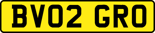 BV02GRO