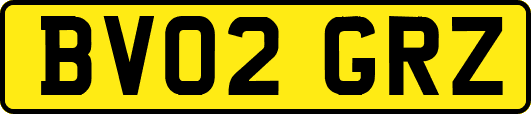 BV02GRZ