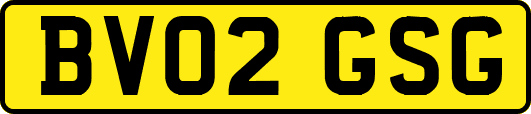 BV02GSG