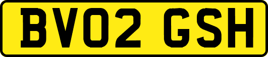 BV02GSH