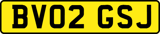 BV02GSJ