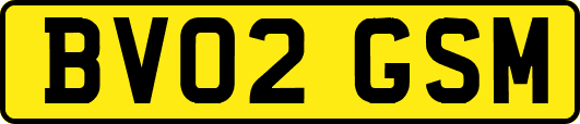BV02GSM