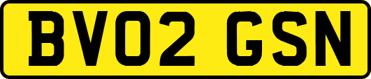 BV02GSN