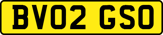 BV02GSO